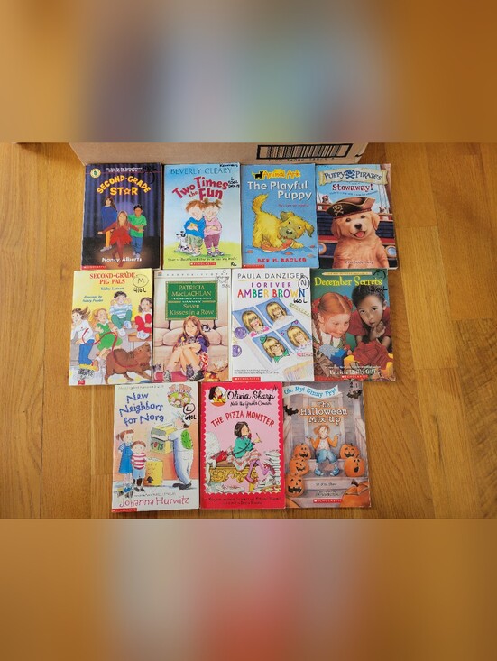 Scholastic Other - Chapter book bundle